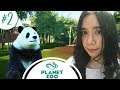 Planet Zoo Indonesia : Buat Kandang Panda 🐼😍🏞