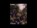 TeHoR -  Forest Tears  (HTR Demo Bonus Track)