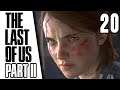 The Last of Us Part 2 Let's Play - Épisode 20/34 (Gameplay FR PS4 Pro)