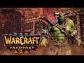Zítra, zde, od 19:00 STREAM | Warcraft 3 Reforged CZ/SK