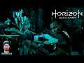 Let's Play Horizon Zero Dawn PC Die Spur der Kriegsherrin 012 German