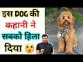 OMG😲 इस DOG की कहानी ने सबको हिला दिया🤔 | Arvindarora | Facts |  A2 Motivation | A2 ke lions