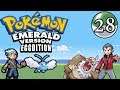 Pokemon Emerald (Rivals Eggdition) Episode #28: Norman's Challenge