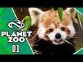 APRIAMO UNO ZOO! 🍀 Planet ZOO 🍀 Let's Play ITA #01