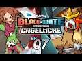 BACK TO THE WINNING SCREEN - (Pokemon Black & White Cagelocke Part 07 w/ Feintattacks)