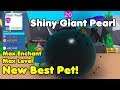 Got Shiny Giant Pearl! New Best Rarest Secret Pet! Max Level & Enchant! - Bubble Gum Simulator