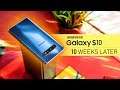 Samsung Galaxy S10 - A Long Term User Review!