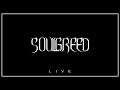 Soulgreed - Live