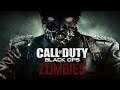 Call of Duty Black Ops/Black Ops 2 Zombies Compilation
