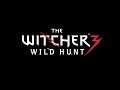 The Witcher 3: Wild Hunt (PS4) - Live Stream 1 - New Game