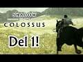 Shadow of the Colossus - del 1 (svenska)