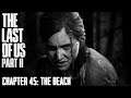 The Last Of Us Part II ★ Chapter 45: The Beach [Survivor / Walkthrough]