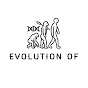 Evolution Of