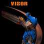 Visor PL