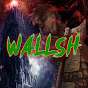 Wallsh