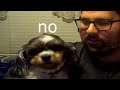 I React To Random Youtuber's Videos