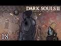 Pellegrini - Dark Souls II Scholar of the First Sin [Co-op Blind Run] #18 w/ Sabaku no Maiku