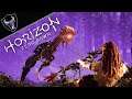 Horizon Zero Dawn PlayStation 4 | 958 Adventure Night (Main Story or Getting Sidetracked)