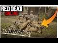 MONEY DUPLICATION GLITCH TO MAKE THOUSANDS FAST in Red Dead Online! Carcass/Pelt Duplication RDR2!