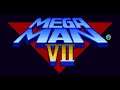 Password - Mega Man 7