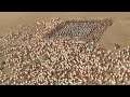 rome total war 2 price rome total war 2 price