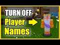 How to TURN OFF Player Names in Minecraft & Hide Name Tags (Easy Method!)