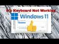 Windows 11 Keyboard Error - Keyboard Not Working or Detecting Problem [Solution]