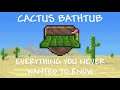 Cactus Bathtub - Everything you Never Wanted to Know (Terraria Journey's End)