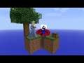 CUSTOM SKYLANDERS WORLD!~Minecraft