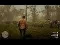 Red Dead Redemption 2:Crap campsite set up