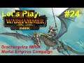 Tor Anroc zurückerobern | #24| Let's Play: Total War: Warhammer 2 Imrik ME