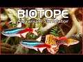 Biotope: Aquarium Simulator | Early Access