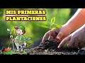 CARTEL TYCOON #1 ¡MIS PRIMERAS PLANTICAS! (gameplay en español)