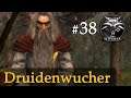 Let's Play The Witcher 1 #38: Druidenwucher (Modded / Schwer)