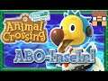⛺ Let's Play Animal Crossing: New Horizons • LIVE! Die Inseln der besten Community anschauen! :-)