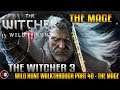The Witcher 3 Wild Hunt Walkthrough Part 40 - The Mage