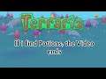 If I find Potions in Terraria, the Video ends