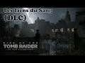 Rise Of Tomb Raider : (DLC) Les Liens du Sang