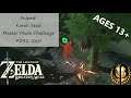 Sniped! - Korok Seed Master Mode Challenge #241-260 - Breath of the Wild