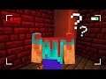 Soo, I found this in Minecraft and it might scare you..