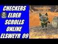 Checkers the Khajiit Goes to The Elder Scrolls: Online 09 - Mazza-Mirri