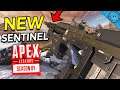 Winning With The *NEW* Buffed Sentinel and Heirloom! This Weapon Is CRACKED! (Apex Legends Season 4)