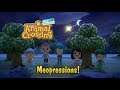 Animal Crossing New Horizons - Meopressions
