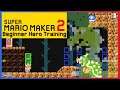 Beginner Hero Training | Mario Maker 2