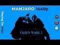 Guild Wars 2 | Manjaro 20.1 | RX 5700 + Ryzen 3 3300x | 1440p | Linux Gaming