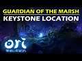 How to Find the Keystones & Open Spirit Gate | Guardian of the Marsh | Ori and the Will of the Wisps