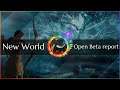 New World | Hand of Unity Open Beta report