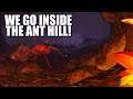 WE WENT INSIDE THE ANT HILL! 😱