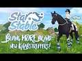 Buying MORE BRAND-NEW Knabstruppers! | Star Stable Updates