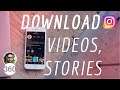 Download Instagram Stories | How to Download Videos, Photos, Stories From Instagram in Bulk